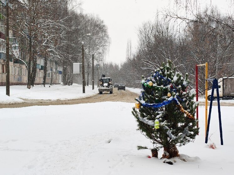 Облачная погода и небольшой снег ожидаются в Пензенской области 6 января