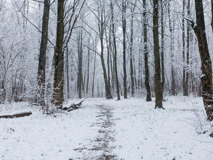 Центральную Россию, включая Подмосковье, в конце этой недели ожидает резкое похолодание