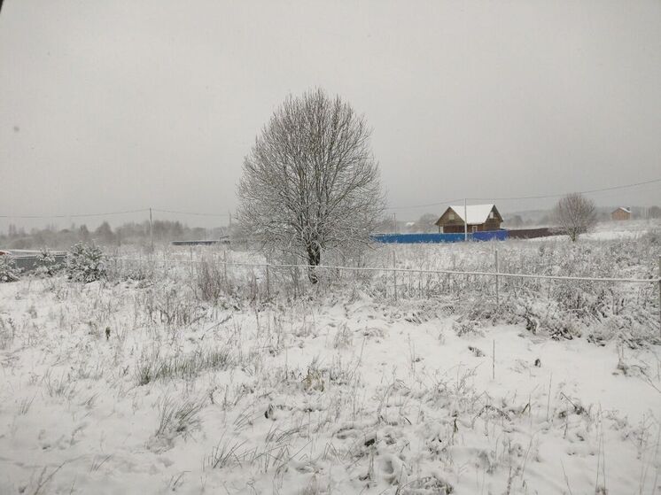 Синоптики 7 января прогнозируют в Смоленске пасмурную погоду