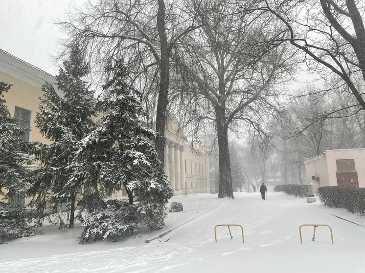 В ближайшие дни Рязанскую область накроет снегопад