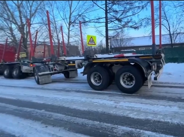 Водителя трала спасли сотрудники ДПС в Тайшете