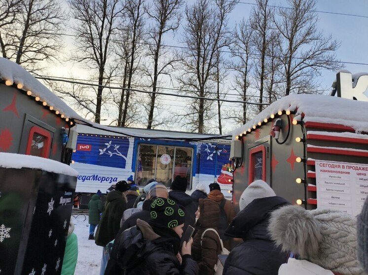 Петербуржцы час ждут на морозе включения света в поезде Деда Мороза