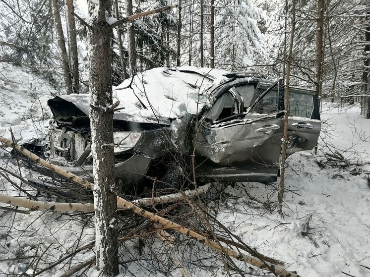 В Котласском округе женщина-водитель попала в серьёзное ДТП