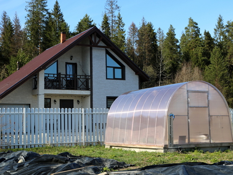 С 2026 года дачников начнут штрафовать за неиспользуемые участки и борщевик