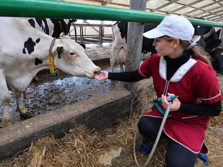 Региональные меры поддержки помогают привлечь молодых аграриев