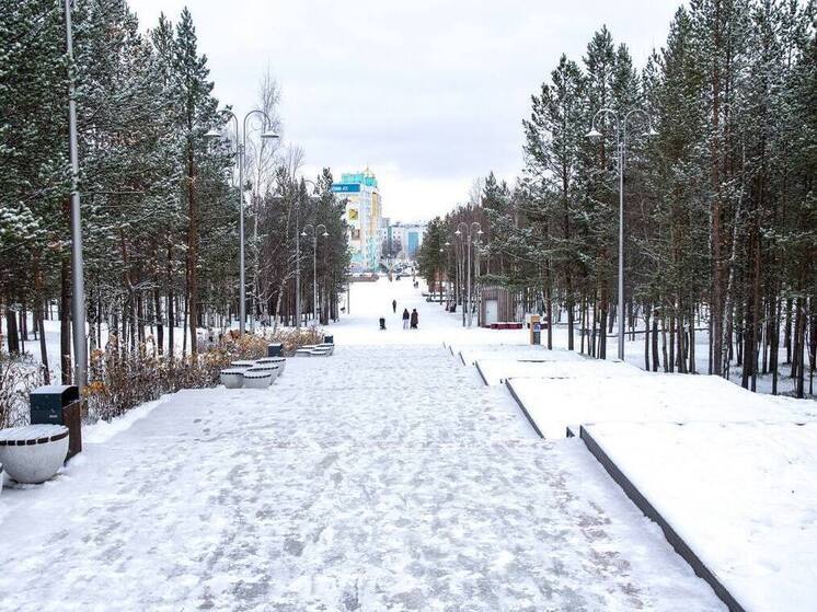 Неоновая иллюминация осветила 106 ступеней в Ноябрьск-парке