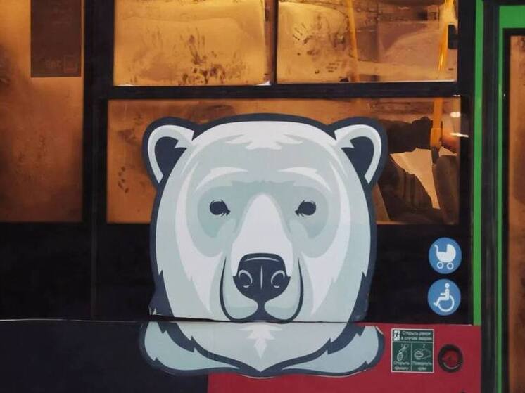 В телеграм-чате «Антон Колодин Chat» жители Нового Уренгоя обратились к губернатору Дмитрию Артюхову с просьбой решить проблемы с общественным транспортом, возникшие после изменений в маршрутной сети