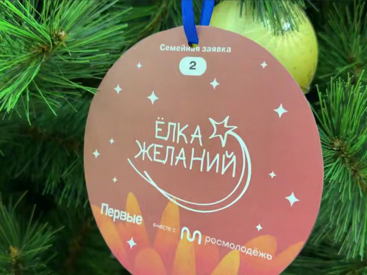 Заместитель председателя правительства Воронежской области исполнил новогодние мечты детей