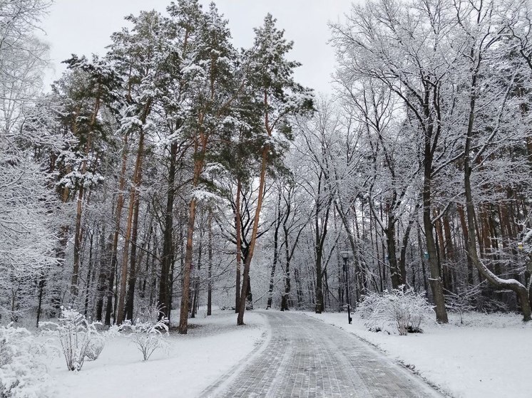 В Белгородской области с 15 января начинаются зимние учеты диких животных