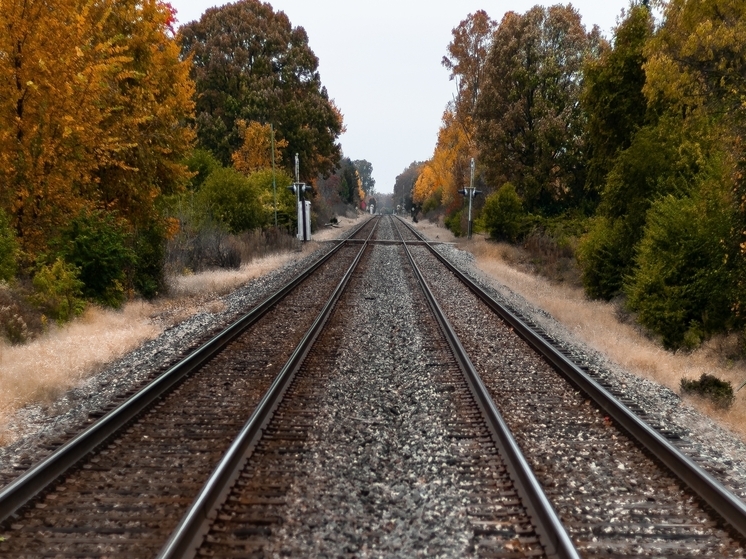 Движение поездов на аварийном перегоне в Воронежской области восстановлено
