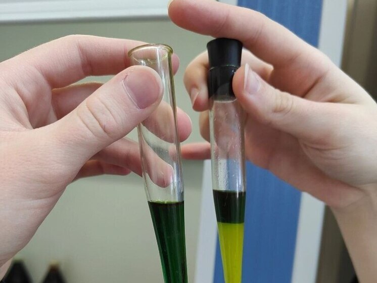 Исследования ученого калининградского БФУ им. Канта покорили мировую науку