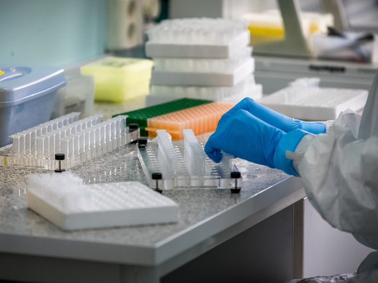 Уроженка Южного Урала скончалась от лихорадки денге на Шри-Ланке