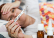 В сезон простуд, вирусов и обострения хронических хворей становится особенно заметно умение (или неумение) культурно болеть