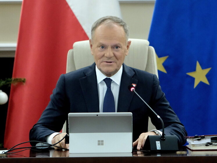 Туск: Дания может рассчитывать на поддержку всей Европы в вопросе Гренландии