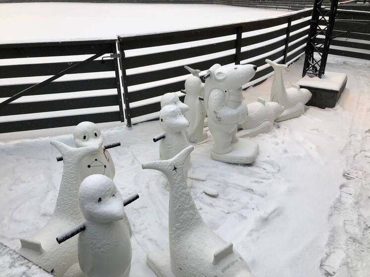 В Гатчине открыли новый каток