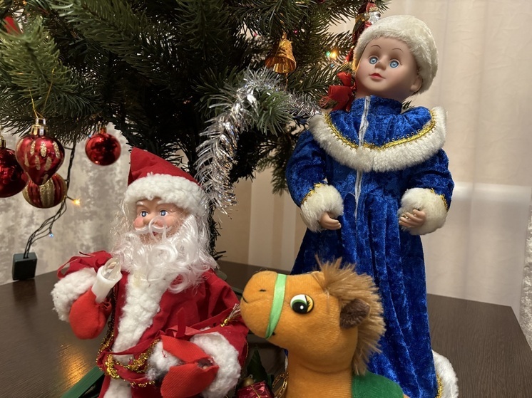 Запорожские «Волонтёры Победы» поздравили ветеранов в рамках новогодней акции