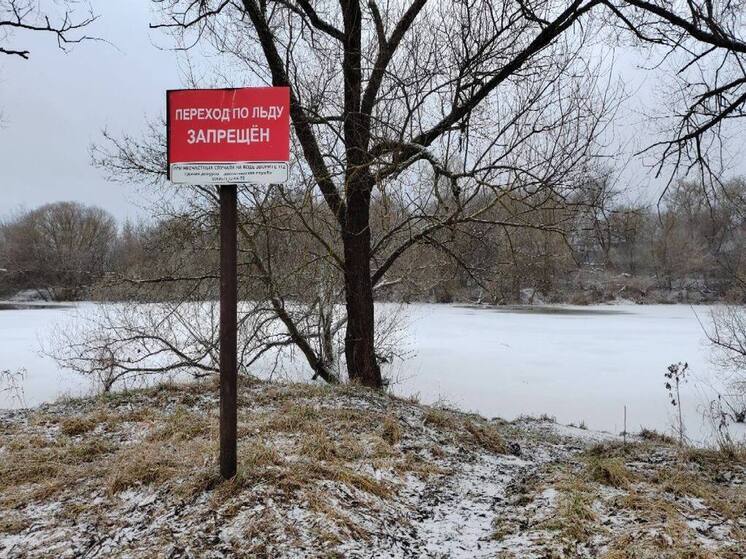 В Серпухове ребенок провалился под лед