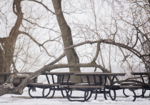 Зимний пикник — это не просто еда на свежем воздухе, а настоящее искусство выживания в романтичной атмосфере фильма «Морозко»