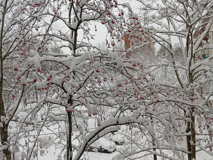 Минувшей ночью в Малой Вишере похолодало до -25°С