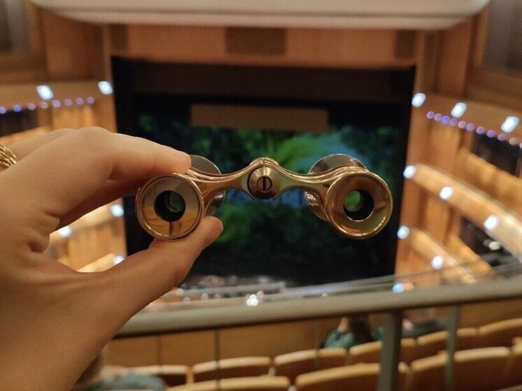 Коренной петербуржец Бычков стал директором Парижской оперы