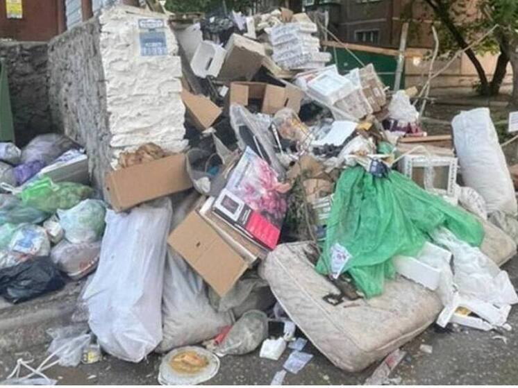 В Новосибирске наладили систему оперативного реагирования на проблемы с вывозом мусора