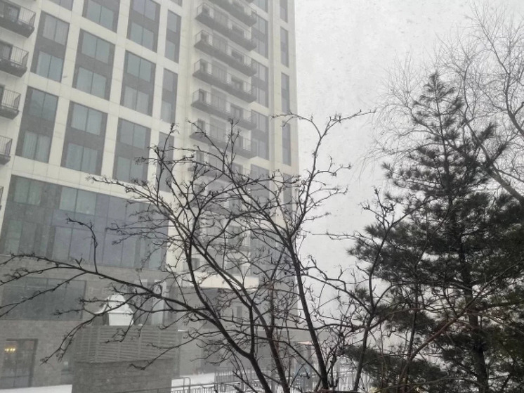 Аномальные морозы до −40 °C ожидаются в Новосибирске во второй половине января