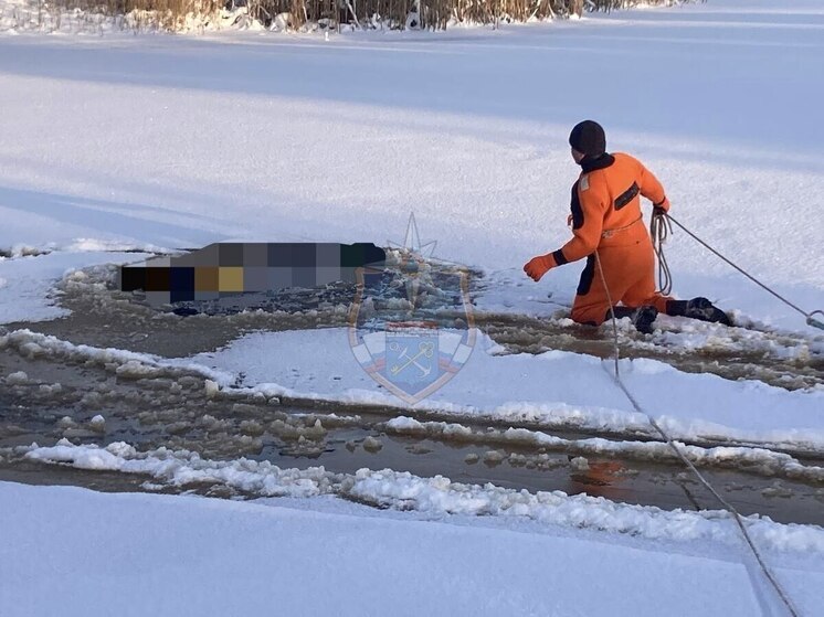 В Волховском районе мужчина на снегоходе провалился под лед и погиб