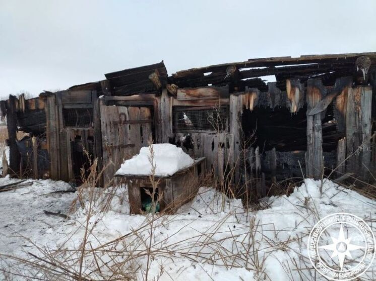 Житель Башкирии стал жертвой пожара в сарае
