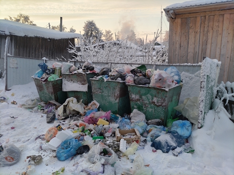 В Карпогорах и Пинеге сохраняются проблемы с вывозом мусора