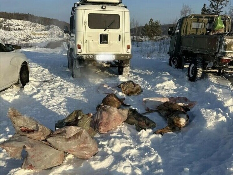 В Амурской области задержаны браконьеры с семью незаконно добытыми косулями