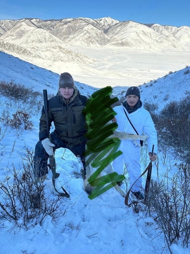 В Туве вдоль приграничных районов  устанавливают ограждения для профилактики заноса опасных заболеваний животных