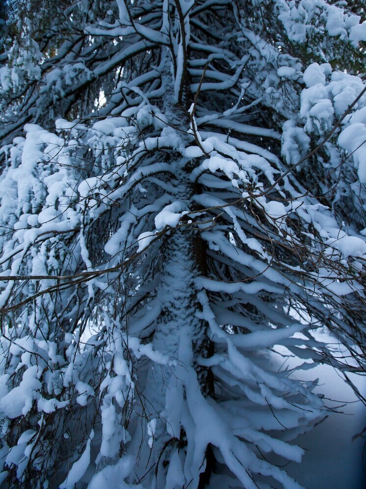 Рождественский сочельник на Южном Урале обещает быть морозным