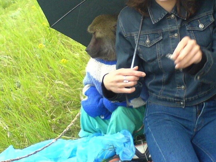 В Балаково обезьяна напала на женщину