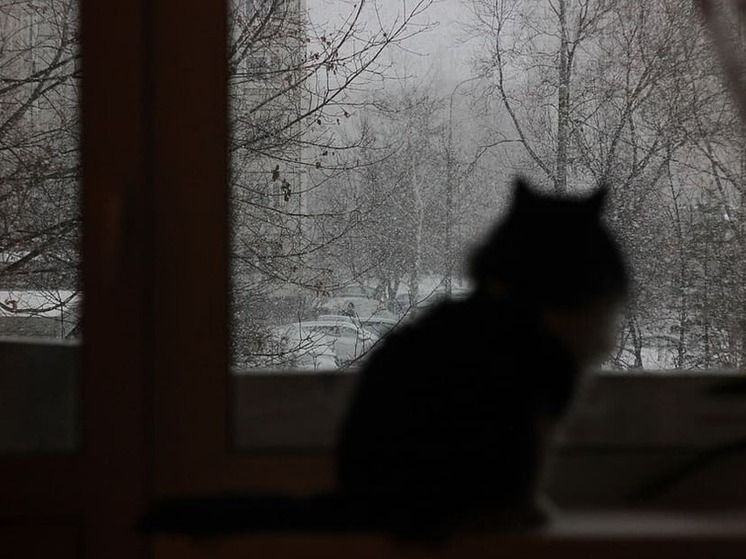 Шесть тысяч бесхозных квартир раздадут нуждающимся в Мариуполе