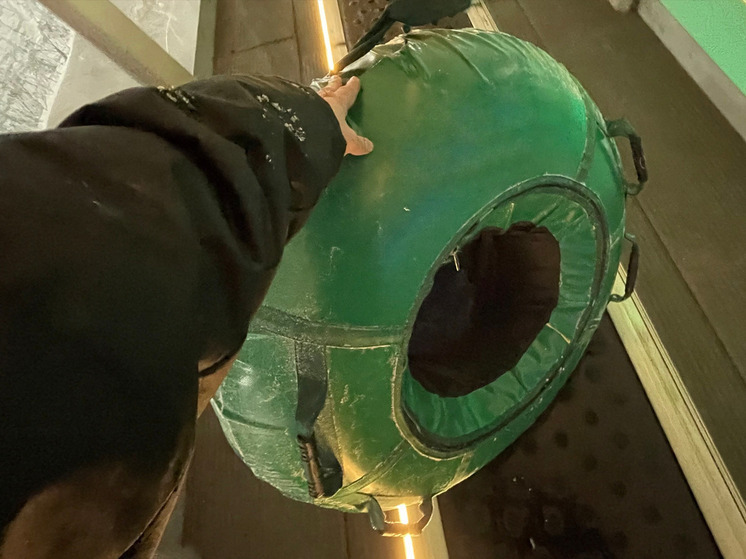 В Старой Руссе ребенок скатился с виадука на «ватрушке» и врезался в дерево