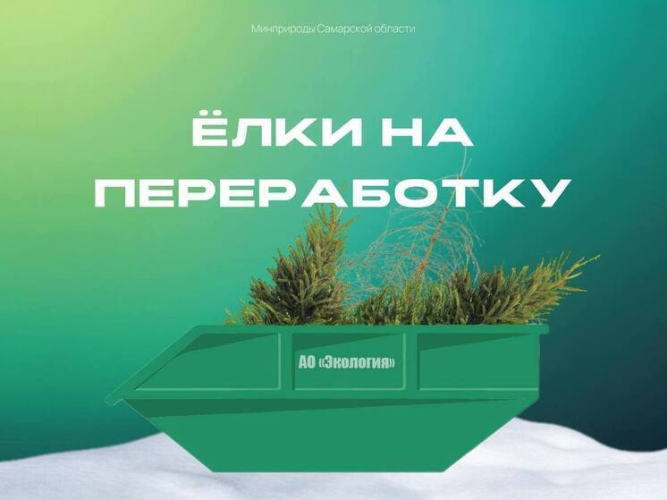 Где в Самаре можно сдать новогодние елочки с пользой для экологии с 6 января: адреса