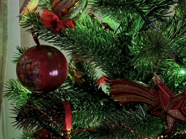 Глава Энергодара Максим Пухов принял участие в «Ёлке желаний»