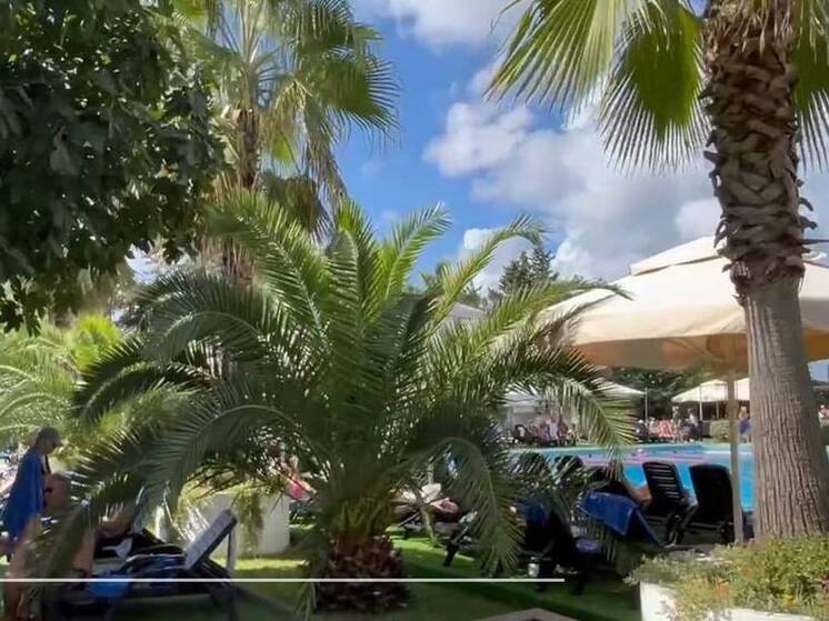 Финансовый календарь отпускника: в каком месяце 2026 года уйти в отпуск выгоднее всего