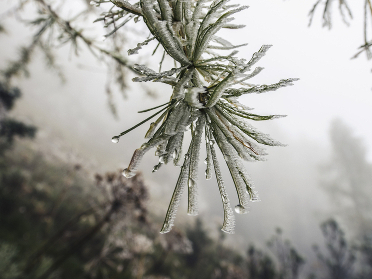 «Тамбовэнерго» на страже: 200 специалистов готовы устранять последствия ледяного дождя