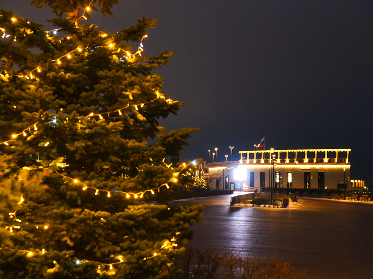 В Волгограде завершились трехдневные новогодние гулянья возле амфитеатра