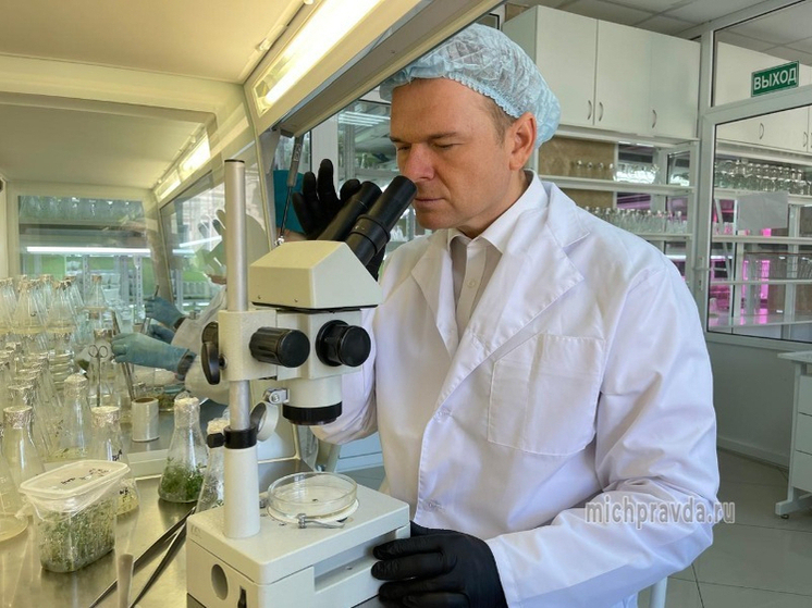 Учёный из Мичуринска отмечен национальной премией за достижения в аграрной науке