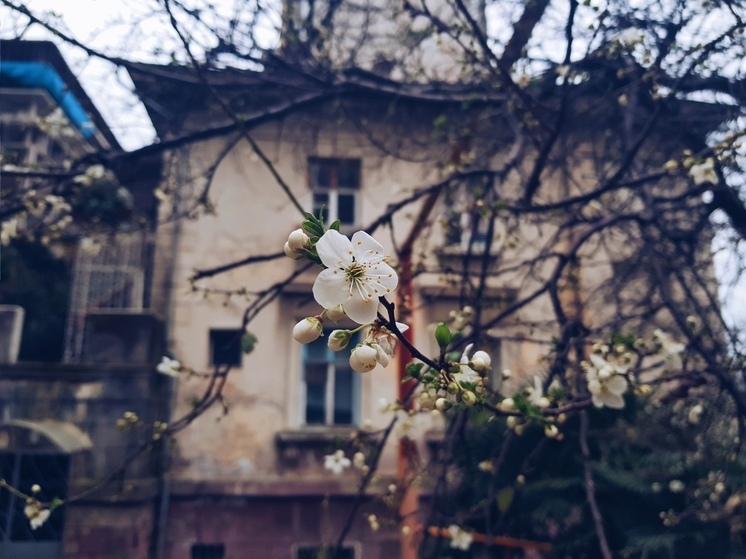 Власти Сочи купили 81 квартиру для детей сирот в 2025 году