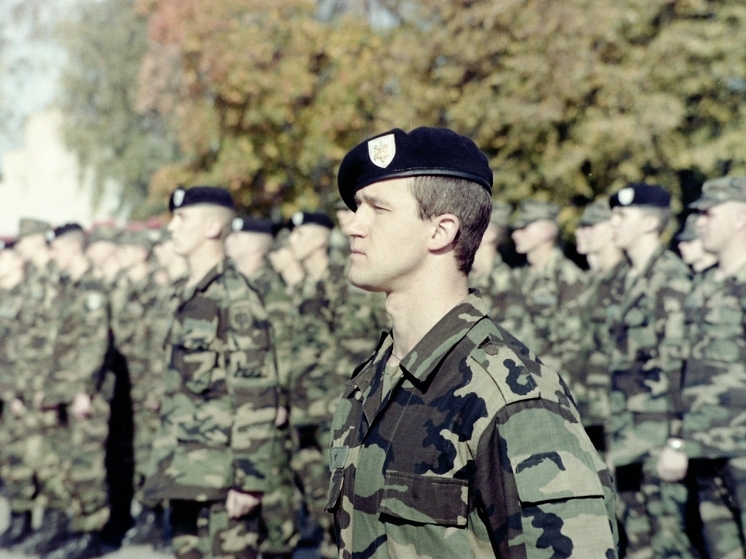 Литва предложила направить 150 военных на Украину после установления мира