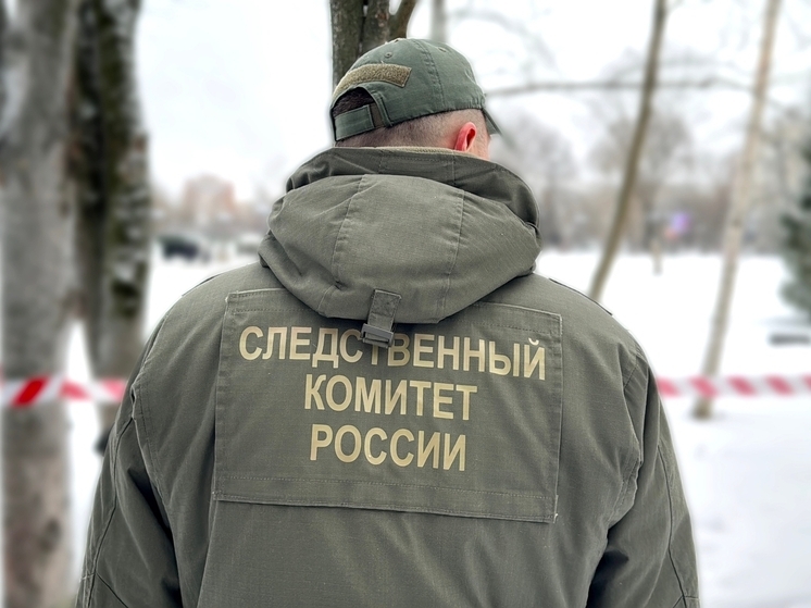 Во Владимирской области подростку на голову упали футбольные ворота