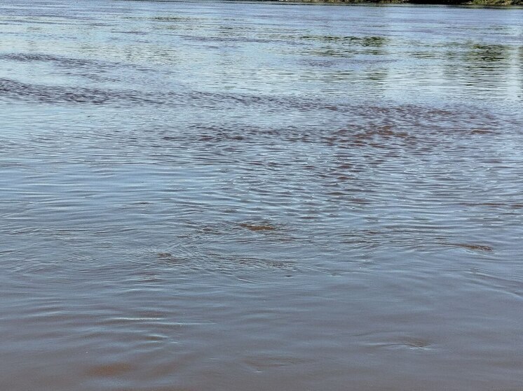 Новый мост в Калининграде удешевил доставку грузов в Балтийск