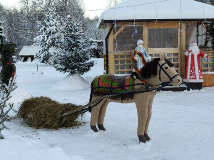 В Хвойнинском округе ТОСовцы украсили общественное пространство лошадью