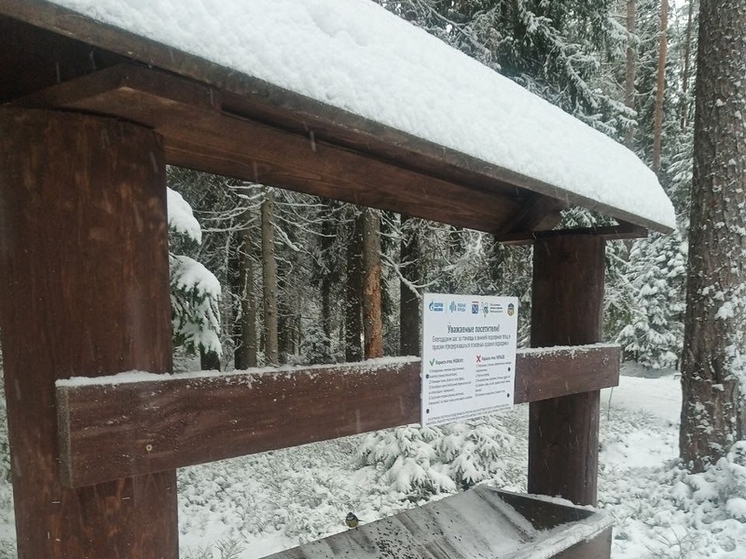 Сотрудники ООПТ напомнили, что птиц нельзя кормить хлебом и жареными семечками