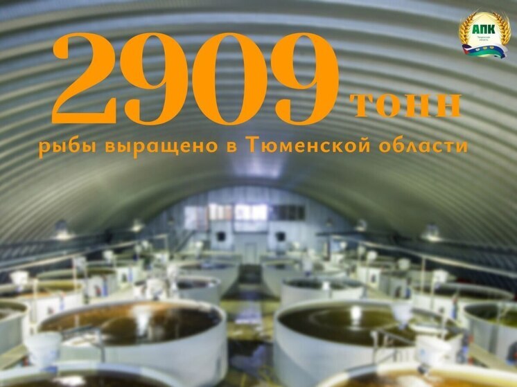 В Тюменской области наращивают производство рыбы