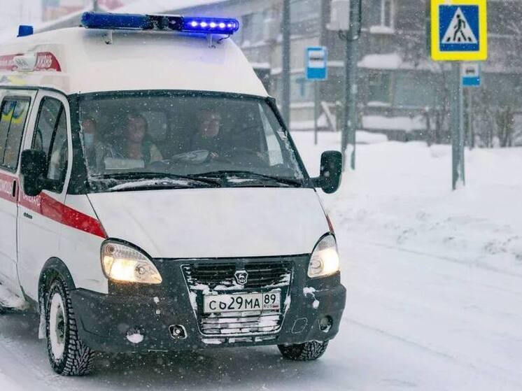 Шурышкарские медики в первую неделю года выезжали на вызовы более 30 раз