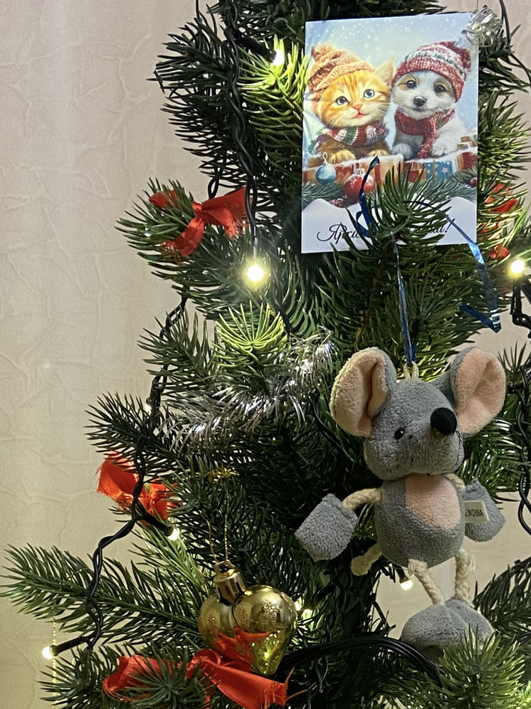 Дети из Запорожской области посетили новогодний спектакль в Москве